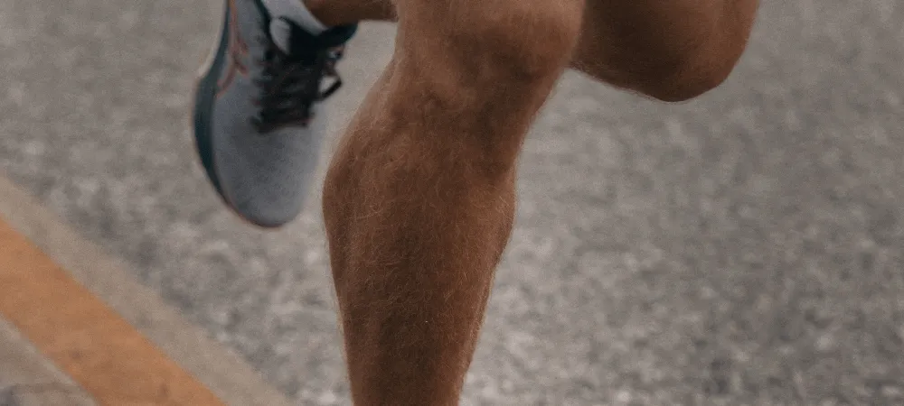 strong leg muscles