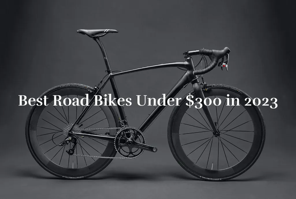 10 best road bikes under $300 in 2023